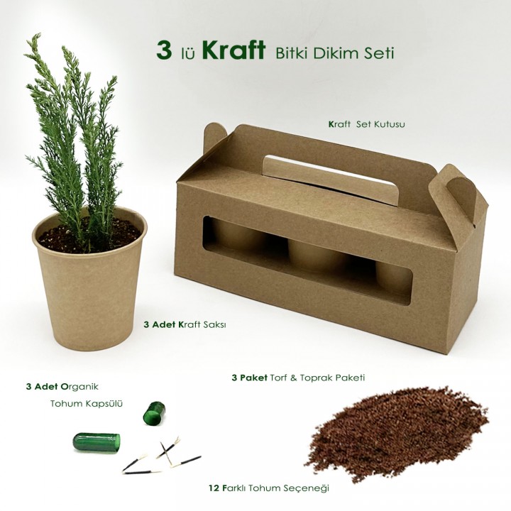 3’lü Kraft Kutulu Promosyon Bitki Dikim Seti